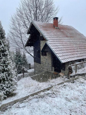 Planinska kuća Savić, Kopaonik
